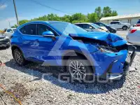 2025 Lexus NX250 photo