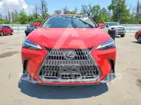 2025 Lexus NX фото