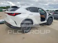 2025 Lexus NX photo