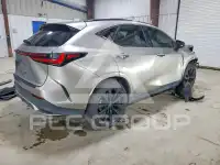 2025 Lexus NX photo