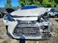 2025 Lexus NX фото