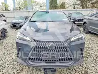 2025 Lexus NX photo
