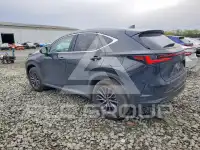 2025 Lexus NX photo