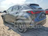 2025 Lexus NX фото