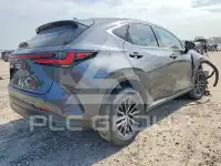 2025 Lexus NX фото