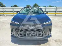 2025 Lexus NX photo