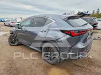 2025 Lexus NX фото