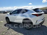 2025 Lexus NX250 фото