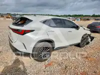 2025 Lexus NX фото