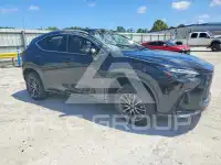 2025 Lexus NX photo