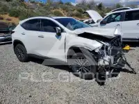 2025 Lexus NX250 фото