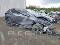 2025 Lexus NX фото