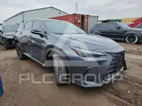 2025 Lexus NX фото