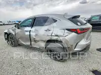 2025 Lexus NX фото