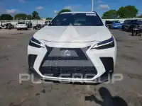 2025 Lexus NX photo