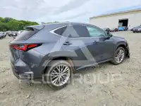 2025 Lexus NX250 фото