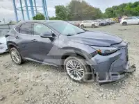 2025 Lexus NX250 фото