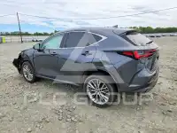 2025 Lexus NX250 фото
