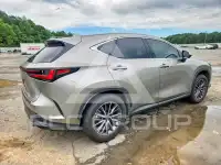 2025 Lexus NX250 фото