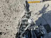2025 Yamaha  photo