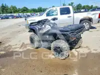 2025 Can-AM Atv photo