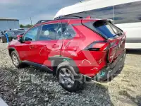 2025 Toyota RAV4 photo