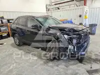 2025 Toyota RAV4 photo