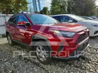 2025 Toyota RAV4 photo