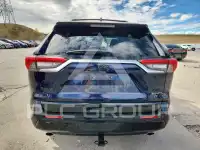 2025 Toyota RAV4 фото