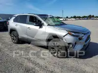 2025 Toyota RAV4 photo