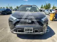 2025 Toyota RAV4 фото