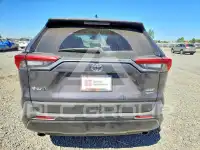 2025 Toyota RAV4 photo