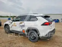 2025 Toyota RAV4 фото