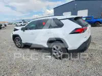 2025 Toyota RAV4 photo