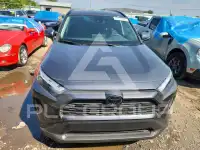 2025 Toyota RAV4 фото