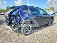 2025 Toyota RAV4 фото