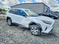 2025 Toyota RAV4 photo