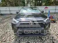 2025 Toyota RAV4 photo