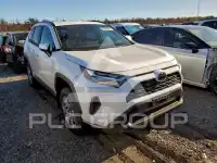 2025 Toyota RAV4 photo