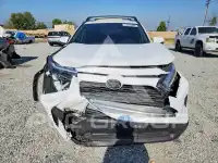 2025 Toyota RAV4 photo