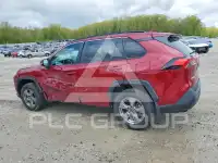 2025 Toyota RAV4 photo