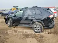 2025 Toyota RAV4 фото