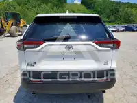 2025 Toyota RAV4 photo