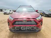 2025 Toyota RAV4 фото