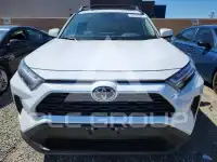 2025 Toyota RAV4 photo