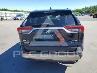 2025 Toyota RAV4 фото