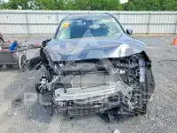 2025 Toyota RAV4 photo