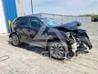 2025 Toyota RAV4 фото