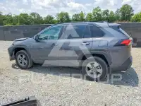 2025 Toyota RAV4 фото