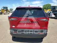 2025 Toyota RAV4 photo